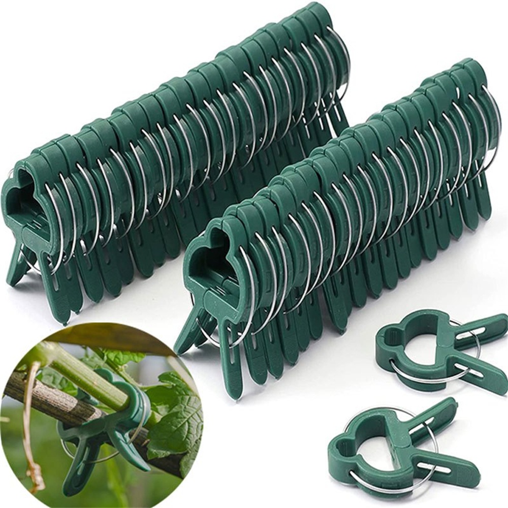 20pcs/Set Plant Fixed Clips Ad - Florist Supply Bulk recension och pris