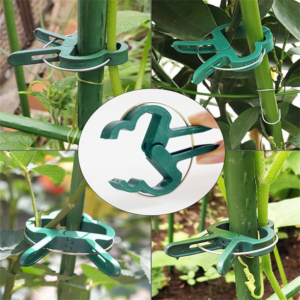 20pcs/Set Plant Fixed Clips Ad - Florist Supply Bulk recension och pris
