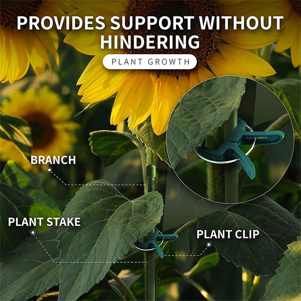 20pcs/Set Plant Fixed Clips Ad - Florist Supply Bulk recension och pris