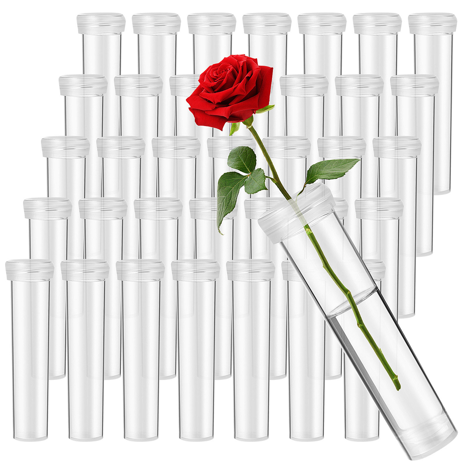 100Pcs Flower Nutrient Tubes U - Florist Flower Supply recension och pris